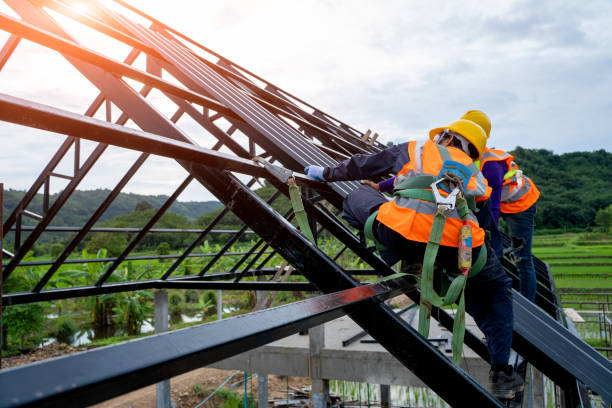 Best Gutter Installation and Roofing  in Palm Shores, FL