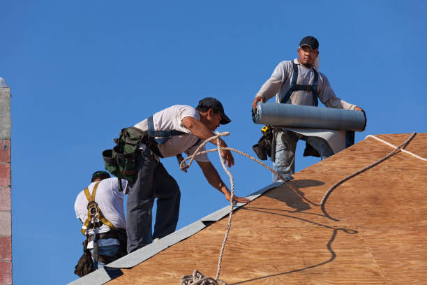 Quick and Trustworthy Emergency Roof Repair Services in Palm Shores, FL